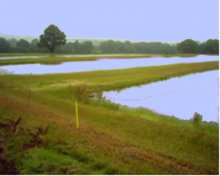 10 acres of 5 carp rearing ponds 2