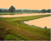 10 acres of 5 carp rearing ponds 3