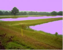 10 acres of 5 carp rearing ponds 4