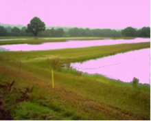 10 acres of 5 carp rearing ponds 5 -